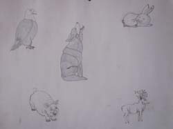 Picture_2 009